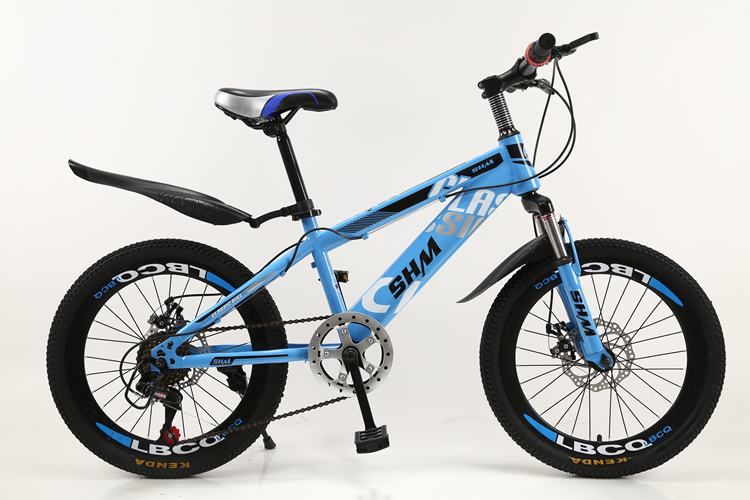 40 inch bike