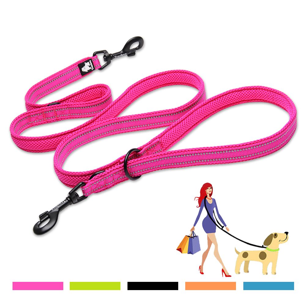 leash to walk 2 dogs