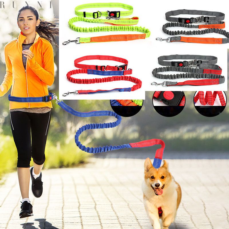 2021 Waist Rope Dog Running Leashes Safe Walk Dogs Leash Walking Wings