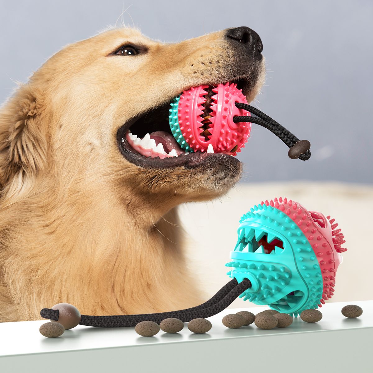 dog toothbrush ball