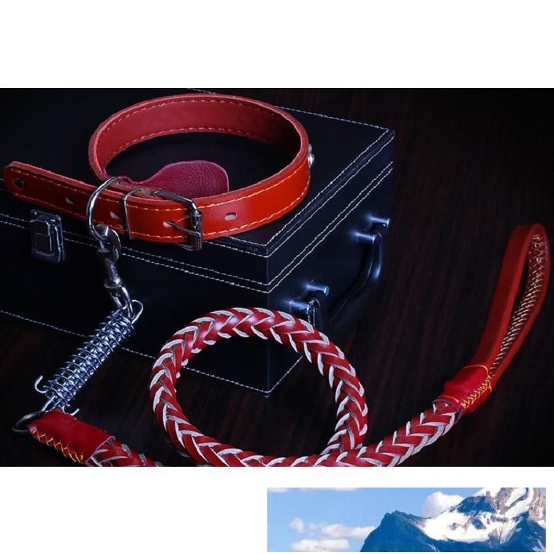 large dog collars and leads