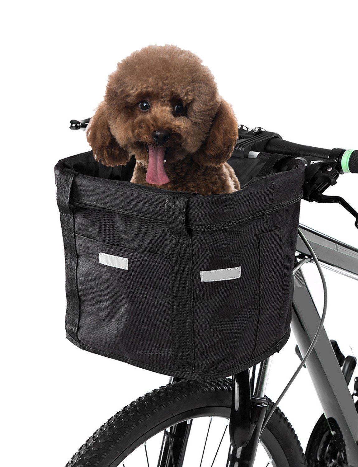 cat bike carrier
