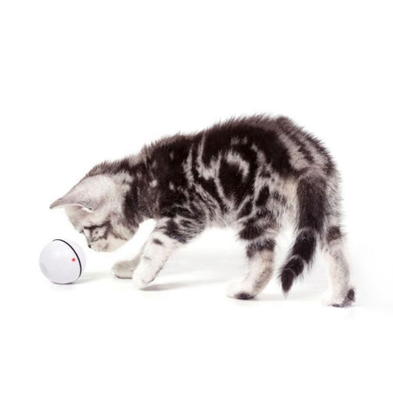 magic jumping cat ball