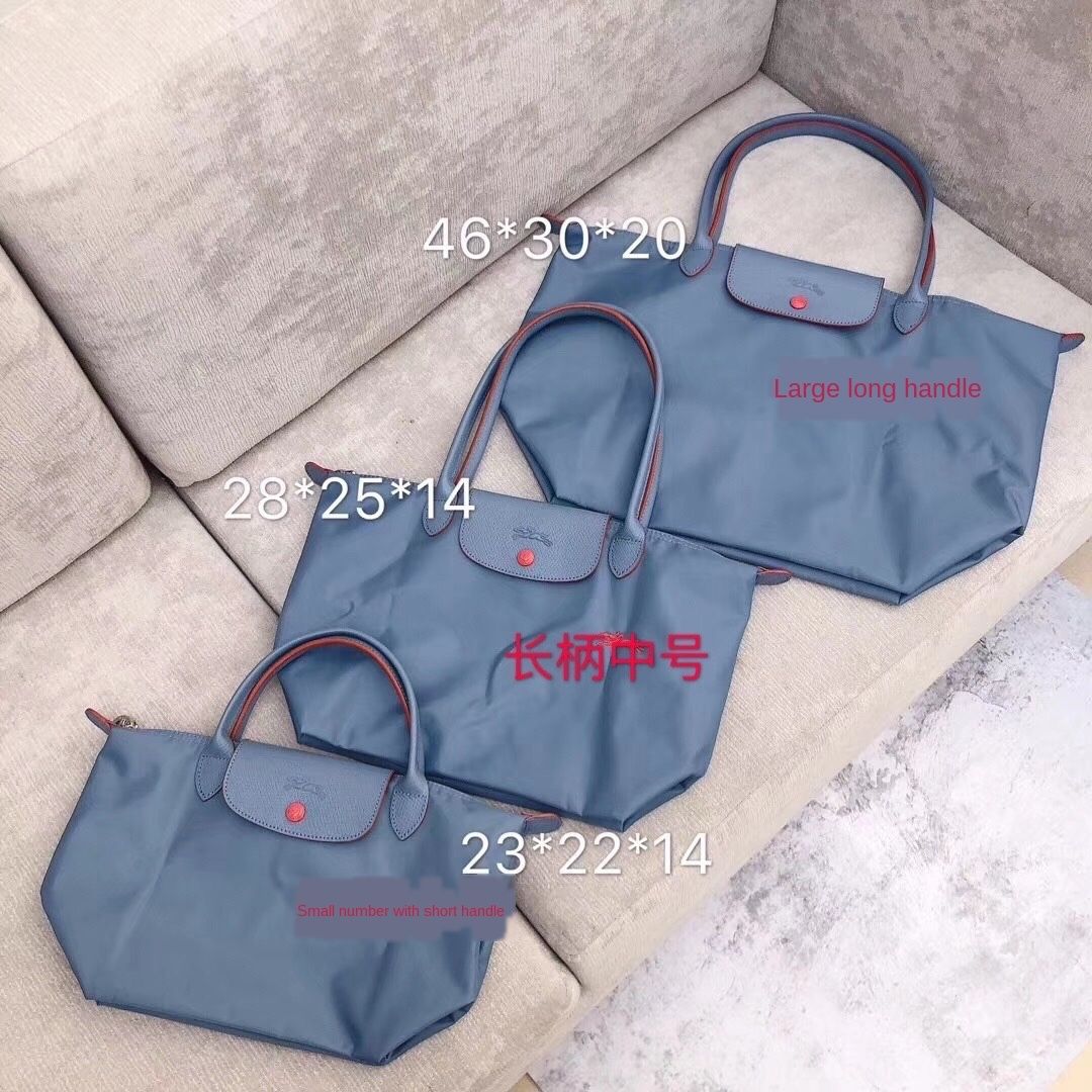 medium sized travel bag