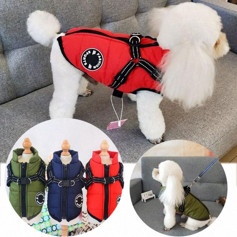 dog ski suit