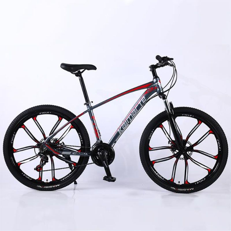Alloy Aluminium Frame Bike 