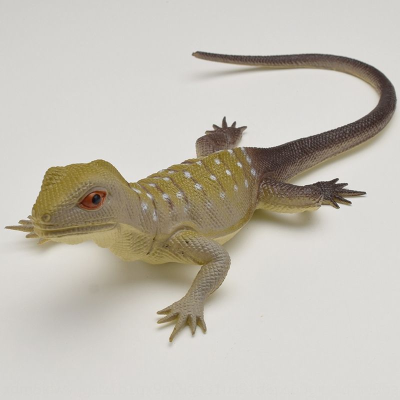 soft rubber lizard toy