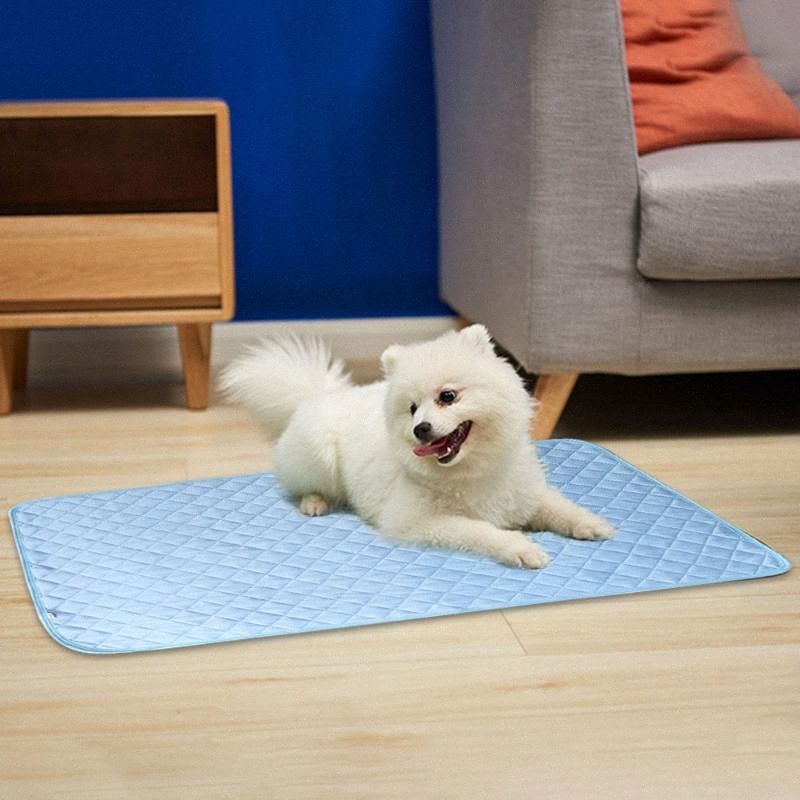 dog mat online