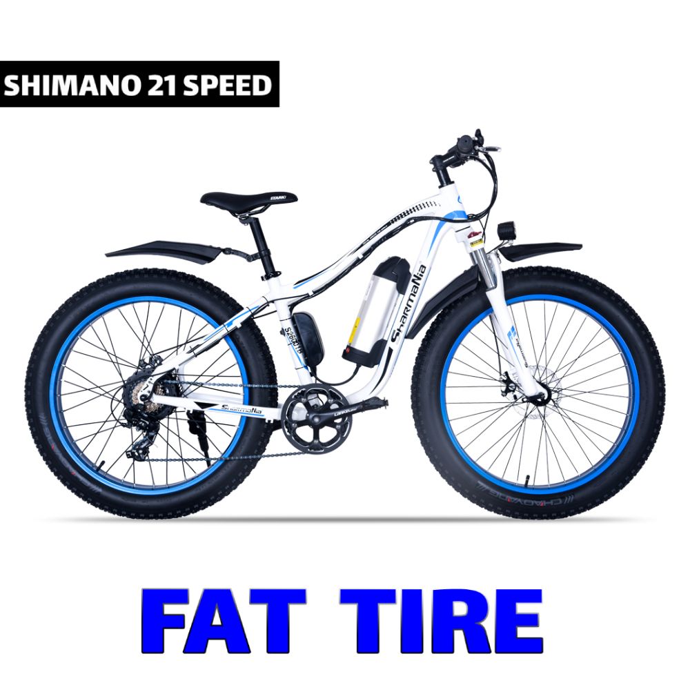 pedal assisted electric bike