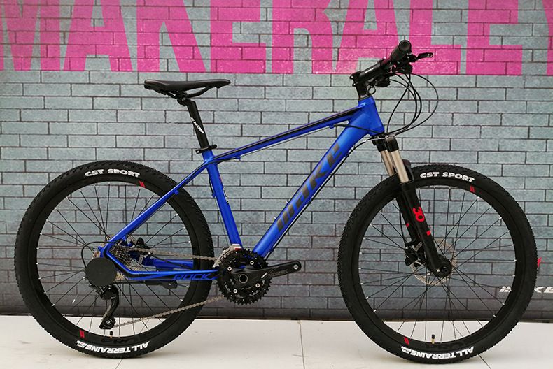 30 inch beach cruiser