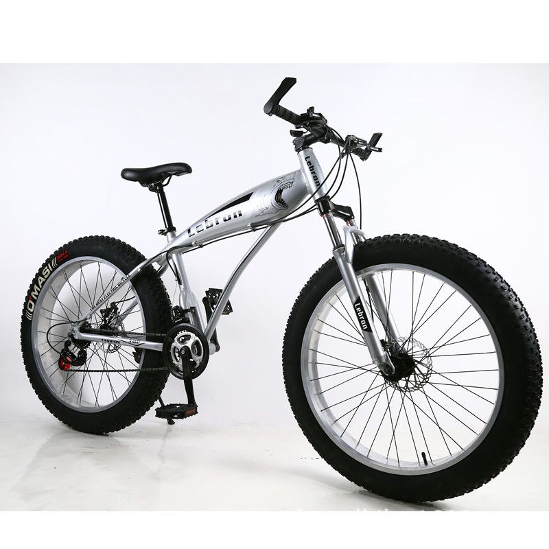 thick wheel bicycle