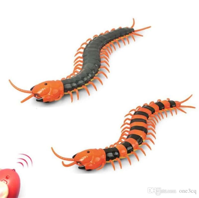 rc centipede