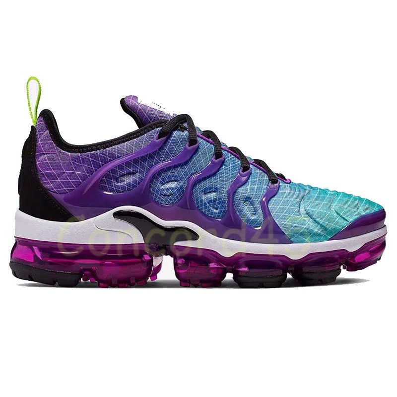 Adidas Solar Hu PRD Pharrell Now is Her Time Pack Purple EG7770 Adidas Solar Hu PRD Pharrell Now is Her Time Pack Purple EG7770