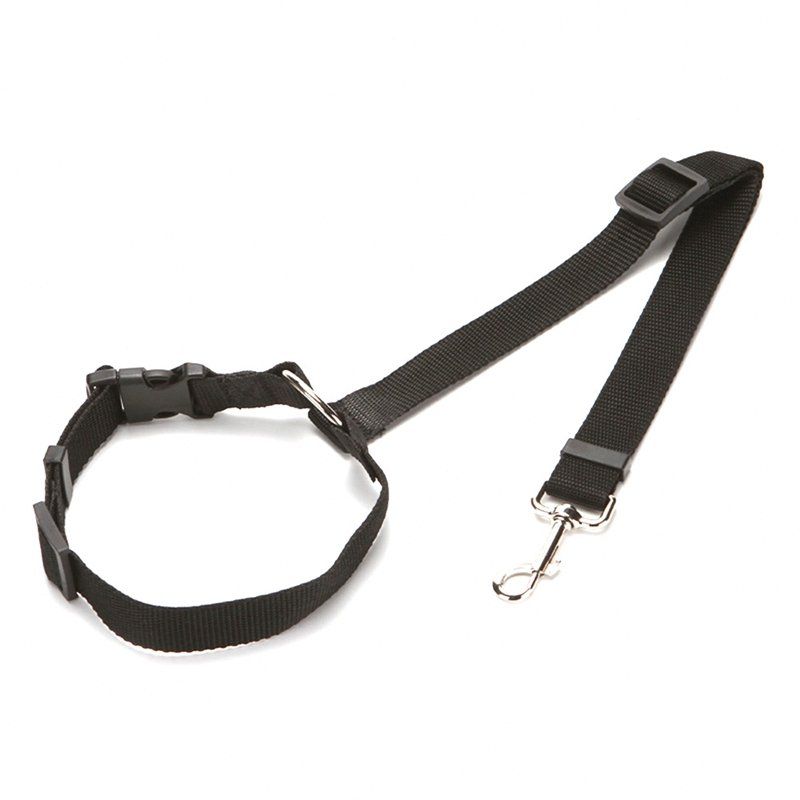 dog belts price