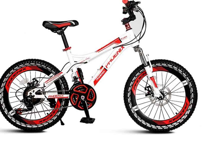 phoenix mountain bike price