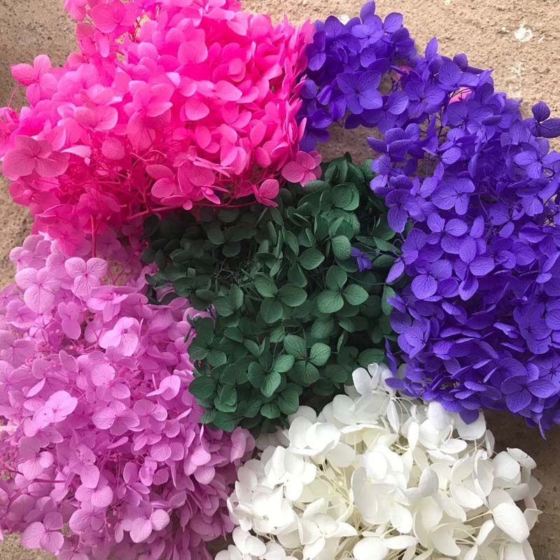 15 COLORS Dry Natural Fresh Forever Hydrangea Natural Fresh Preserved Flowers