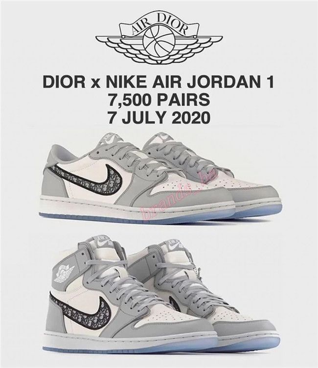 jordan x dior low