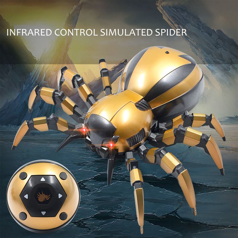 spider robot with camera