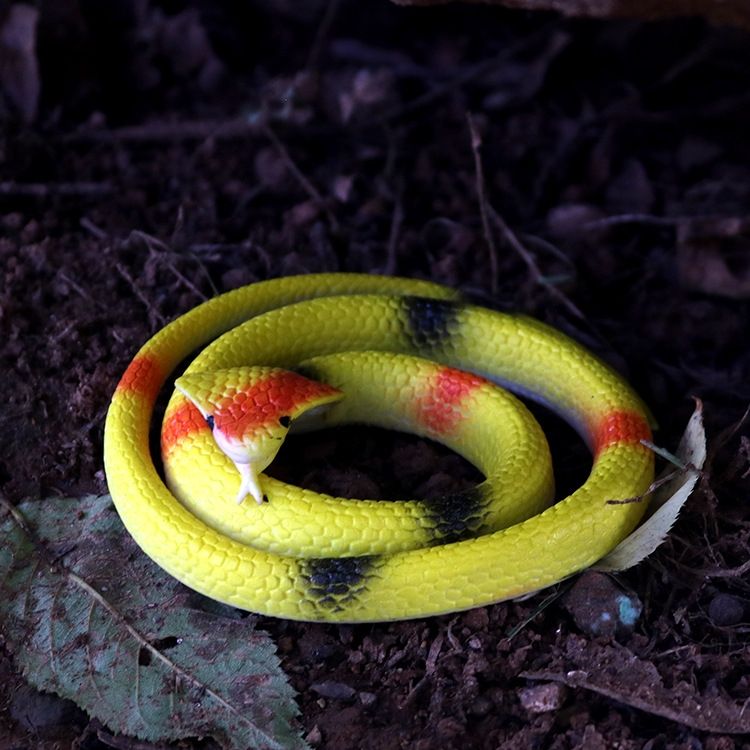red toy snake