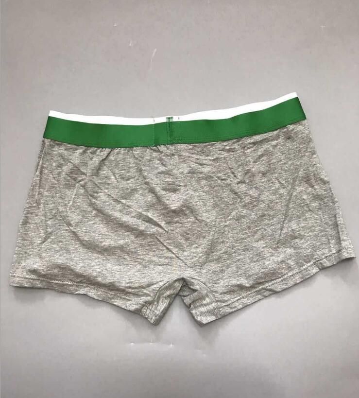 Best Boxer Briefs 2021 2020 2021 Trendy Mens Underwear Man BoxerShorts Underpants Male 