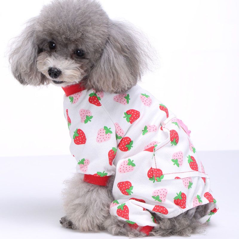 dog apparel wholesale