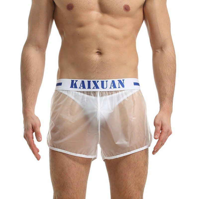 transparent swimwear men