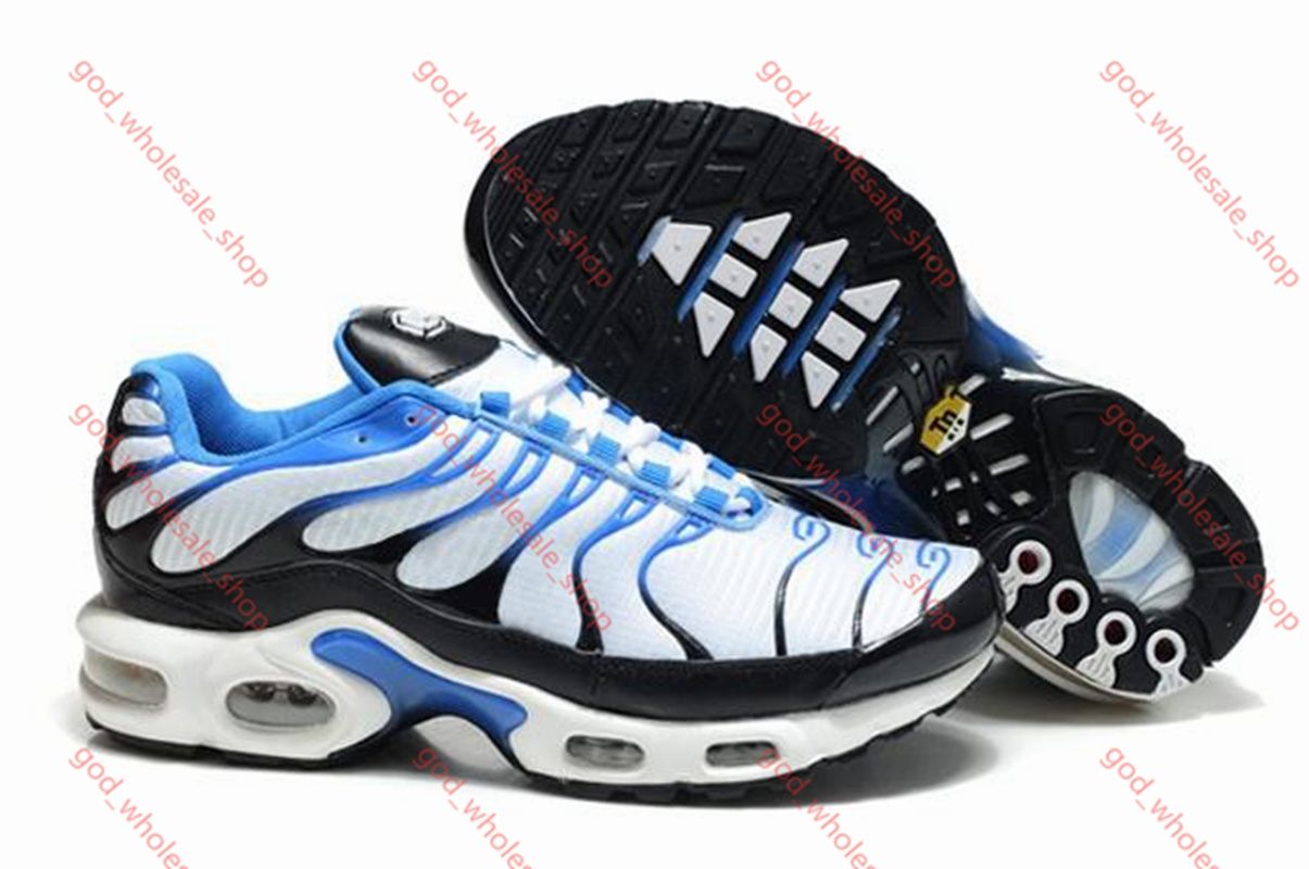 new tn requin