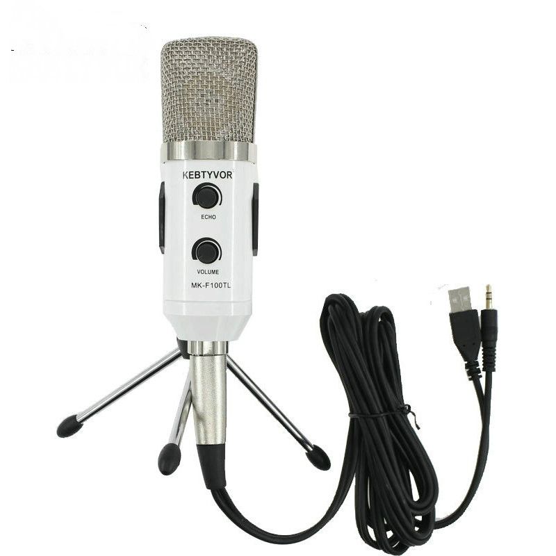 mic for speaking