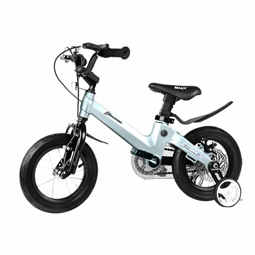bicycle for 2 years