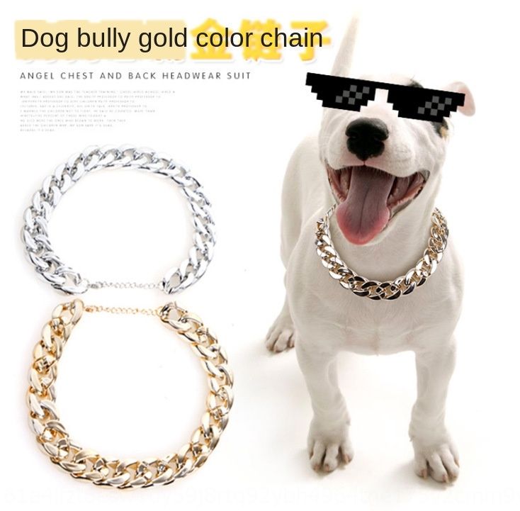 gold chain collar for small dog