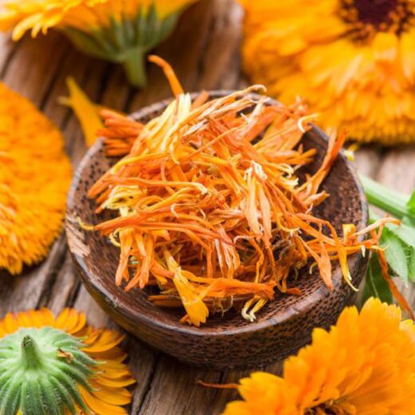 Regine Kleist Dried Calendula Flowers Australia How I Macerate Dried