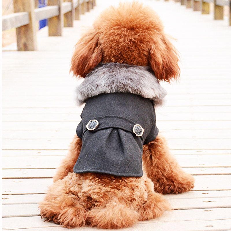 Ropa para perros chaqueta caliente del de vestimenta para mascotas Escudo con el casquillo del