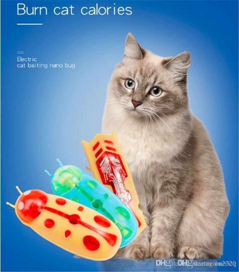 amazingly cat robot bug toy