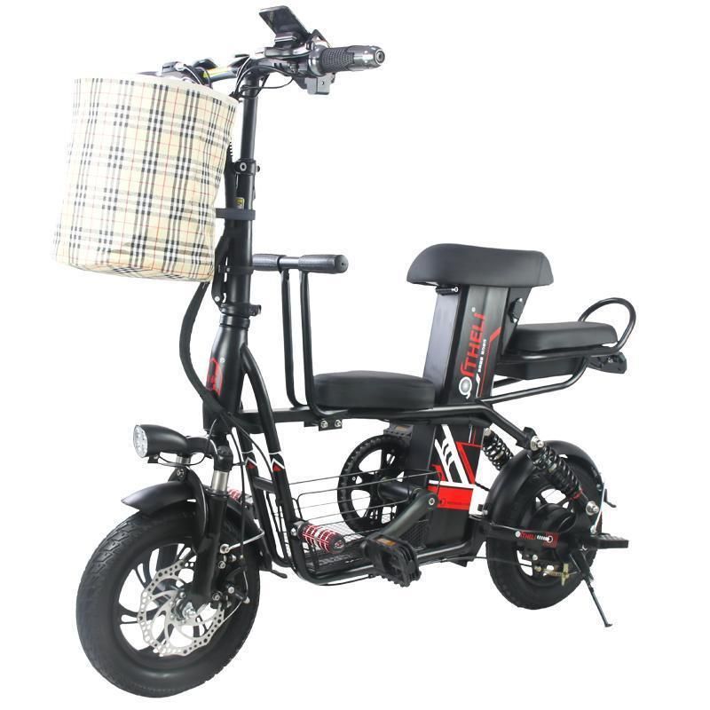 bicycle with 2 child seats