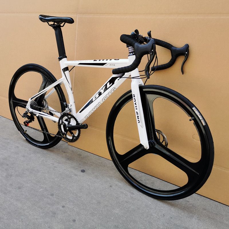 bike trainer disc brakes