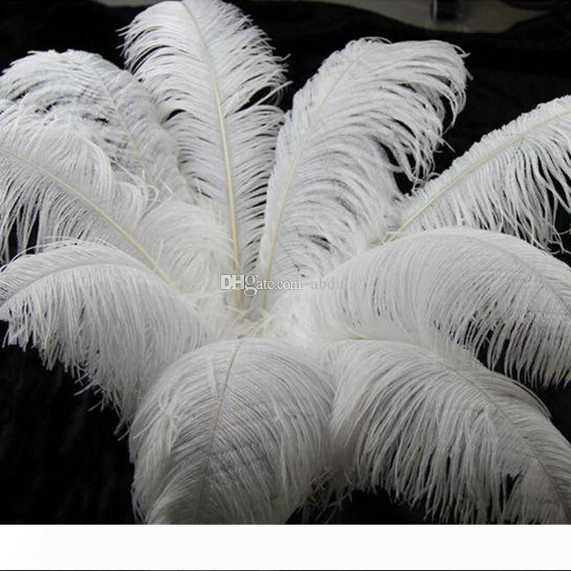 20 ostrich feathers