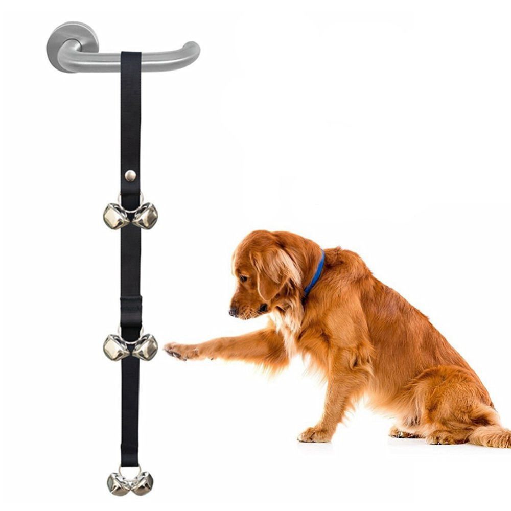 house training bell