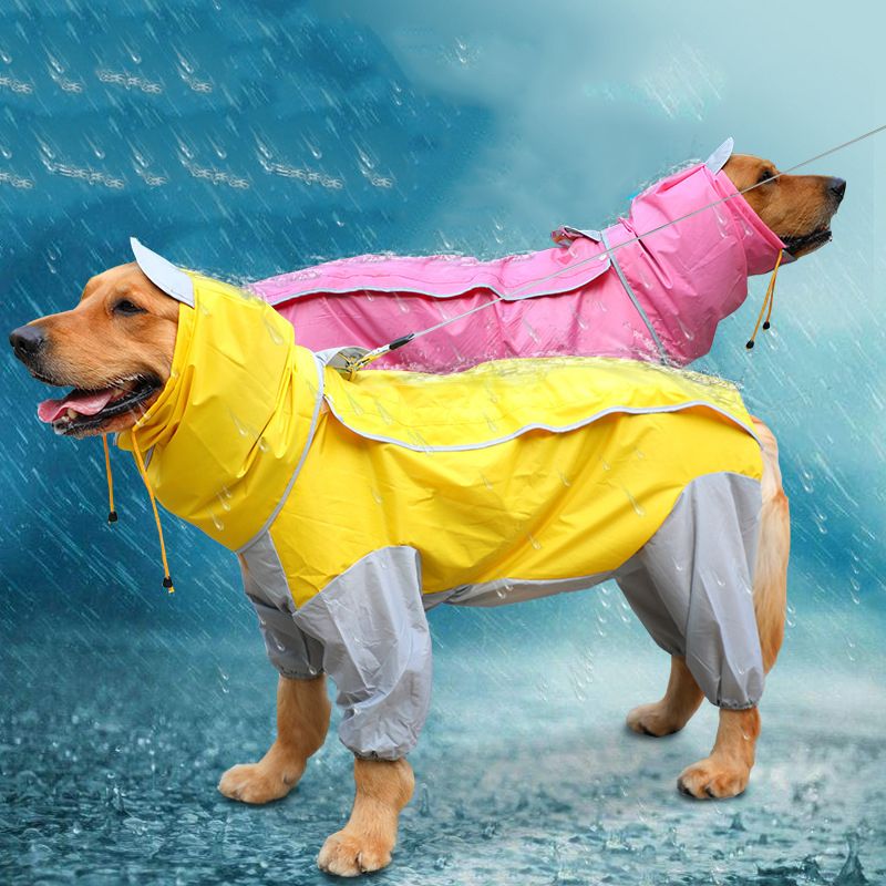 big dog raincoat