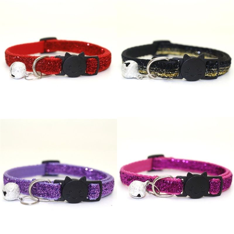 dog collar supplies