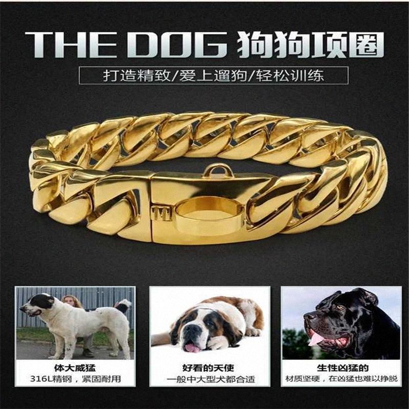 large dog chain collar