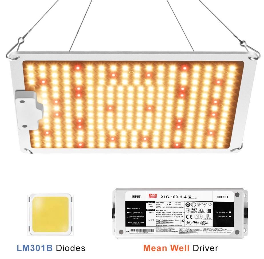 SF1000 Dimable.