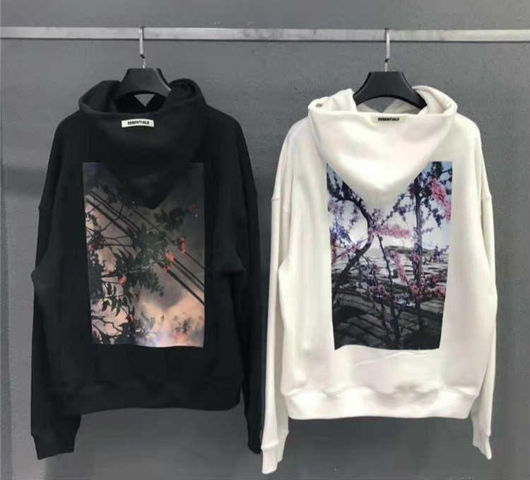 essentials photo series pullover hoodie