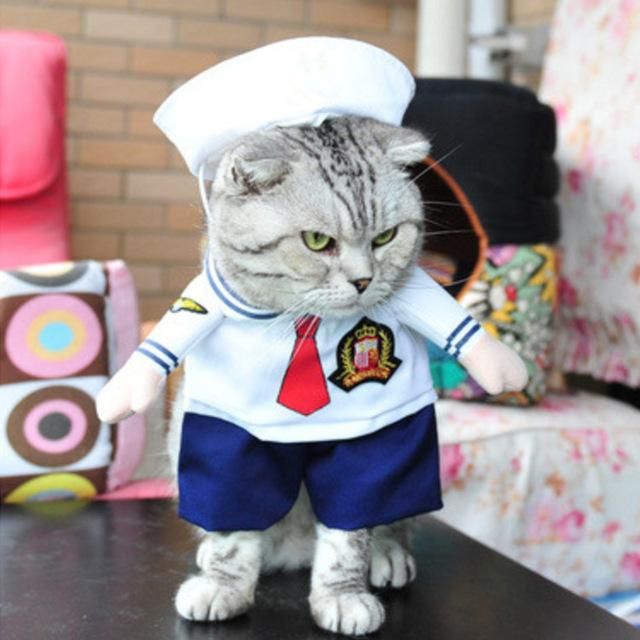 Kedi Sailor Giyim