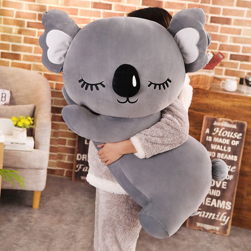 koala stuffie