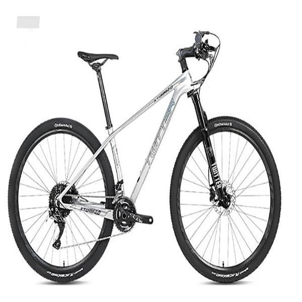 dh fat bike