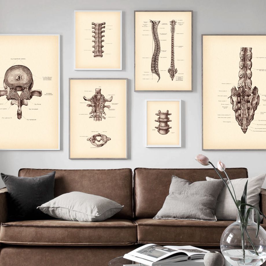 2020 Human Anatomy Artwork Medical Wall Art Picture Skeleton Nordic Vintage Posters And Prints Education Retro Canvas Painting Decor From Goodcomfortable 3 36 Dhgate Com