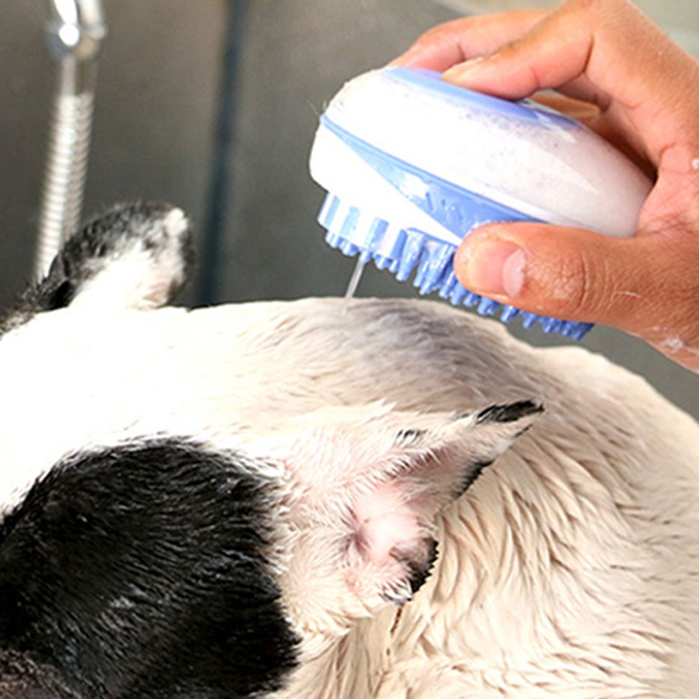 puppy brush and comb