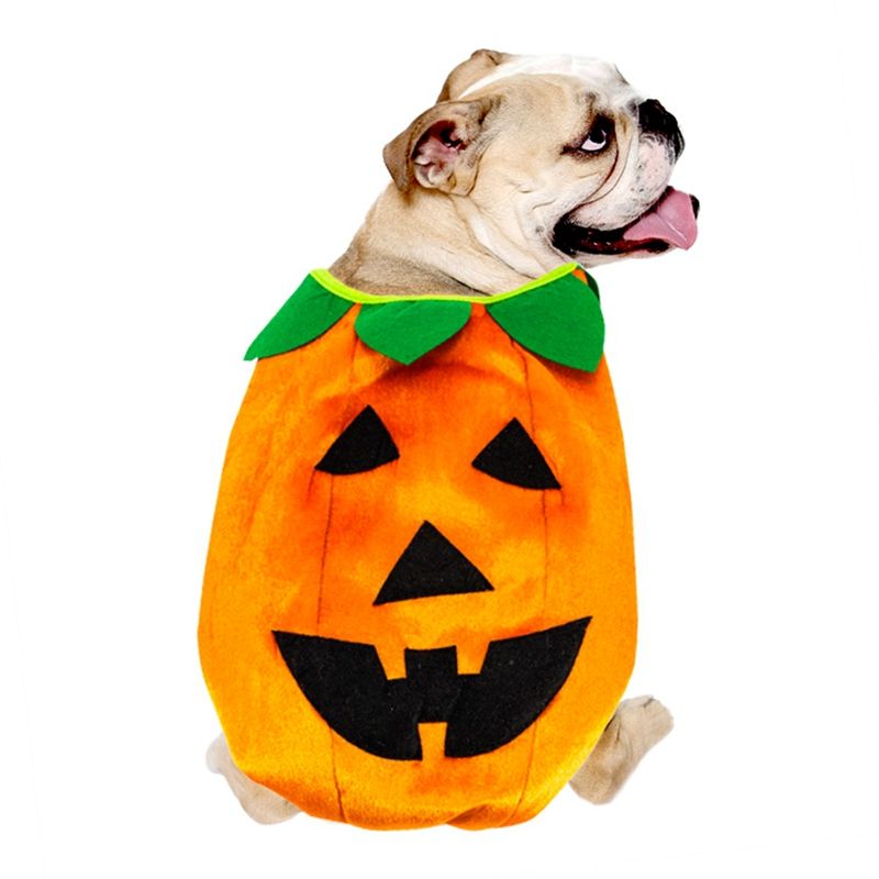 Ropa para perros Halloween Calabaza Cat Cosplay Disfraces Perrito Otoño  Invierno Lana abrigos de tibia para pequeños perros medios