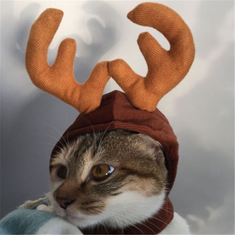 cat reindeer costume