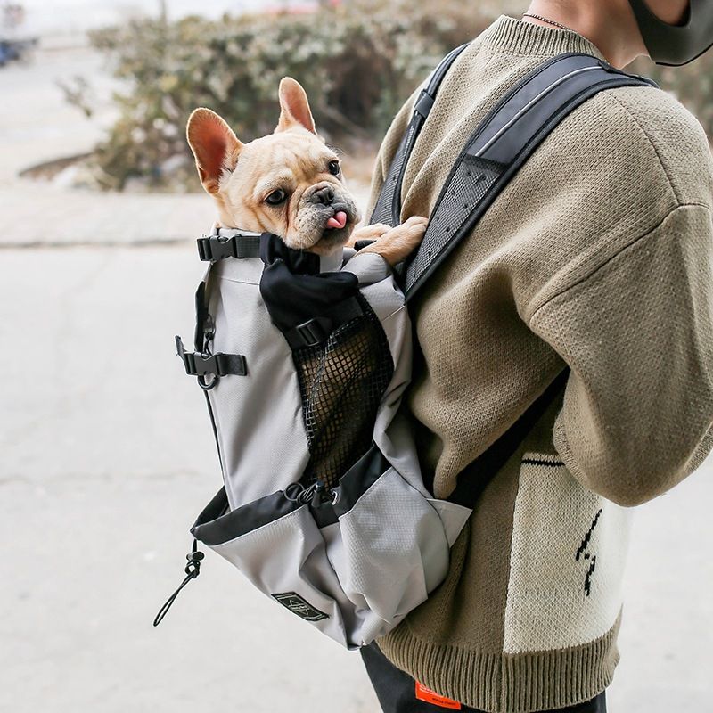 double dog backpack